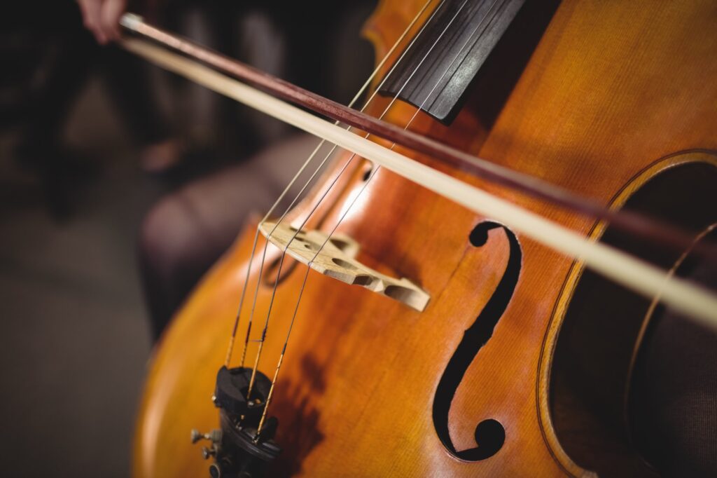 Nahaufnahme Streichinstrument